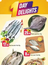 One Day Delights - E07, International City, China Cluster ad catalog