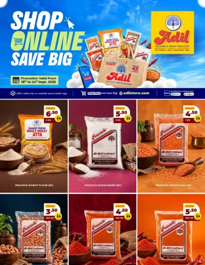 Big Save ad catalog