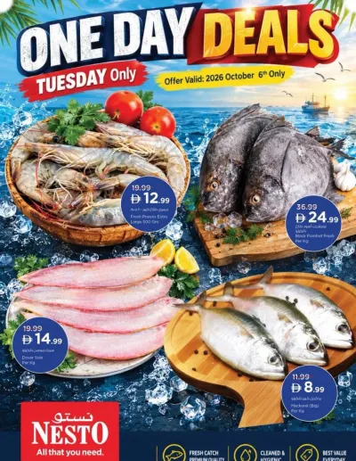 One Day Deal ad catalog