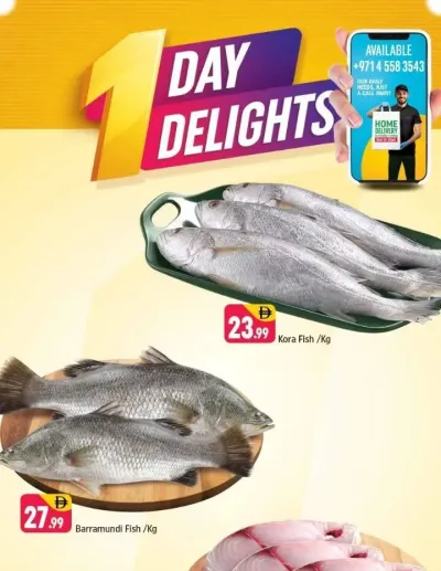 One Day Delights - E07, International City, China Cluster ad catalog