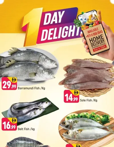 One Day Delights - E07, International City, China Cluster ad catalog