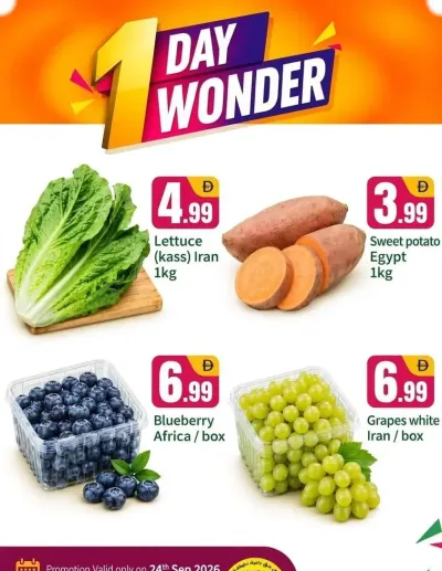 One Day Wonder - B02 China Cluster, Dubai ad catalog