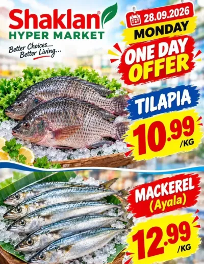 Monday Offer - Al Quoz Industrial Area 2 ad catalog