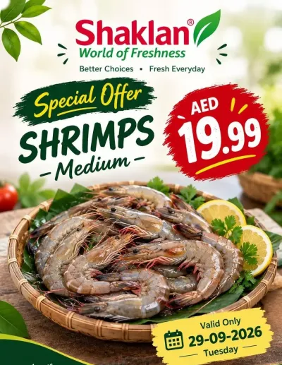 Special Offer - Al Quoz Industrial Area 2 ad catalog