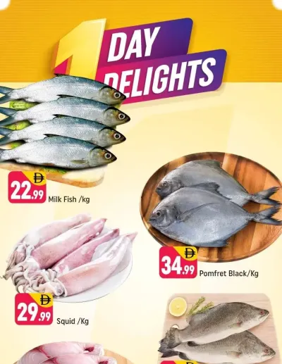 One Day Delights - Al Jaddaf 1, Dubai ad catalog