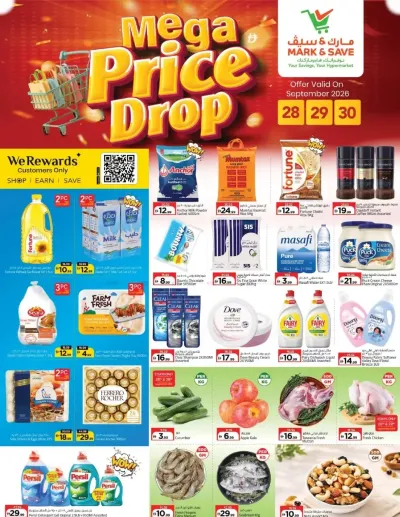Mega Price Drop - Wadi Al Safa, Dubai ad catalog