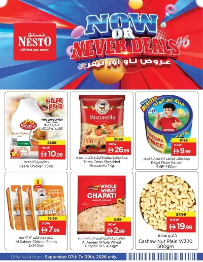 Now Or Never Deals ad catalog