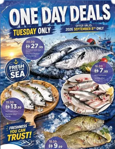 One Day Deals ad catalog