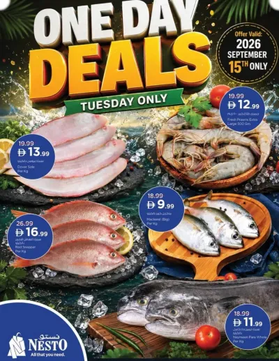 One Day Deals ad catalog