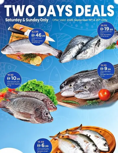 Two Days Deal ad catalog