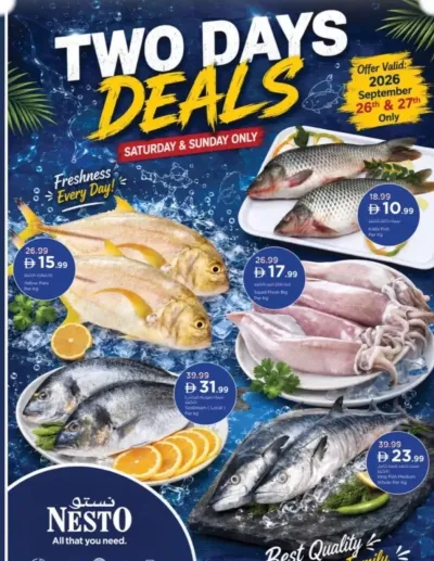 Fresh Deals ad catalog