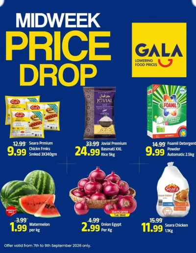 Big Savings ad catalog
