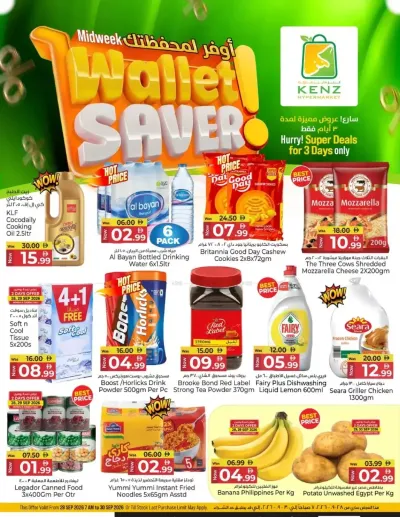 Wallet Saver ad catalog