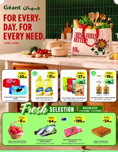 For Everyday For Every Need ad catalog