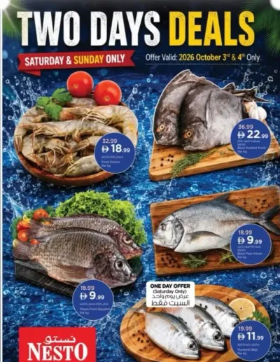 Two Days Deal ad catalog