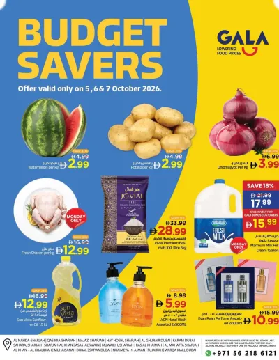 Budget Savers ad catalog