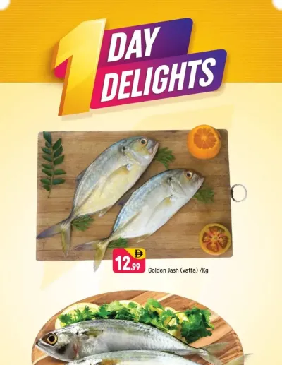 One Day Delights - Behind Abu Hail Centre ad catalog
