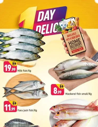 One Day Delights - E07, International City, China Cluster ad catalog