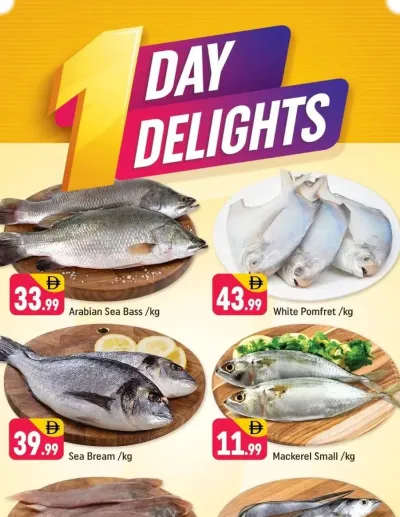 One Day Delights - Al Jaddaf 1, Dubai ad catalog