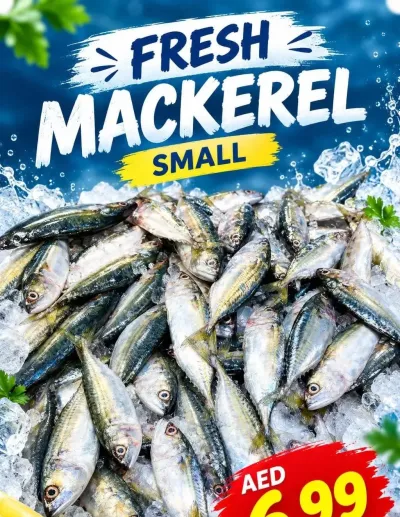 Fresh Mackerel Small - S01, International City, Spain Cluster ad catalog