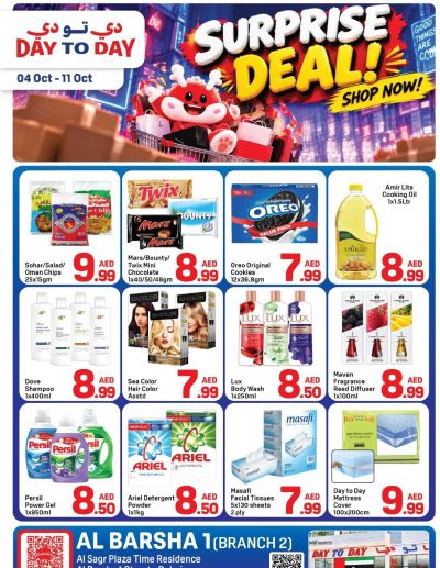 Day To Day Uae Barsha 2 ad catalog