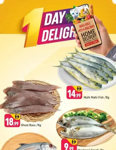 One Day Delights - E07, International City, China Cluster ad catalog