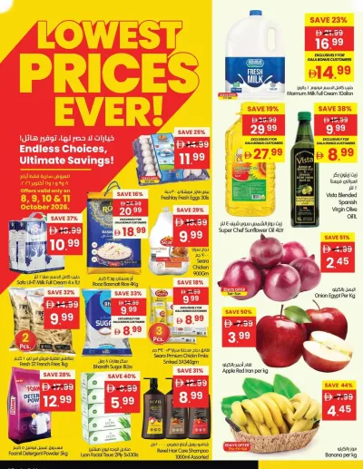 Lowest Price Ever - Ajman & Dubai & Fujairah ad catalog