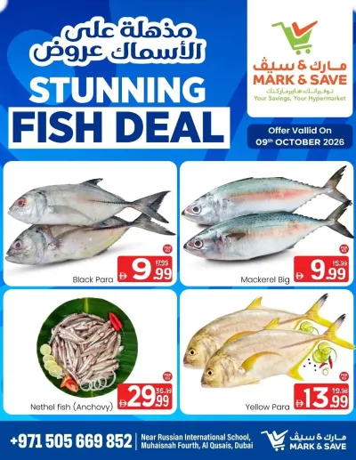 Fish Deals - Muhaisnah, Dubai ad catalog