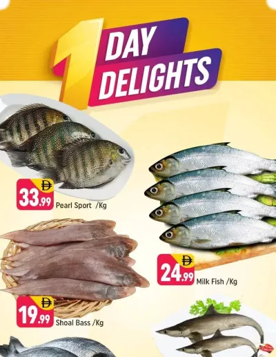 One Day Delights - Al Jaddaf 1, Dubai ad catalog