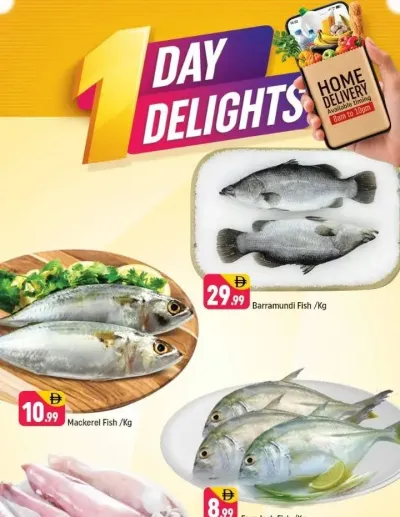 One Day Delights - E07, International City, China Cluster ad catalog