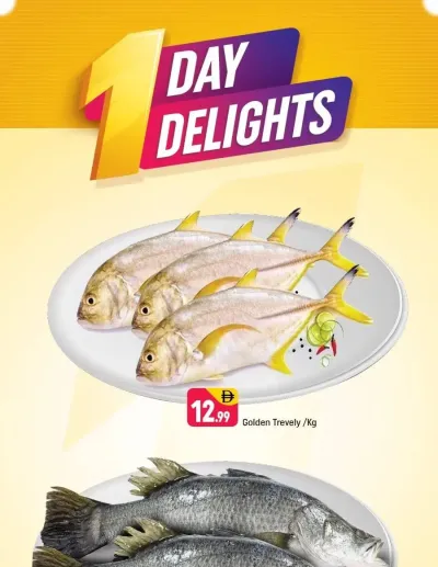 One Day Delights - Behind Abu Hail Centre ad catalog