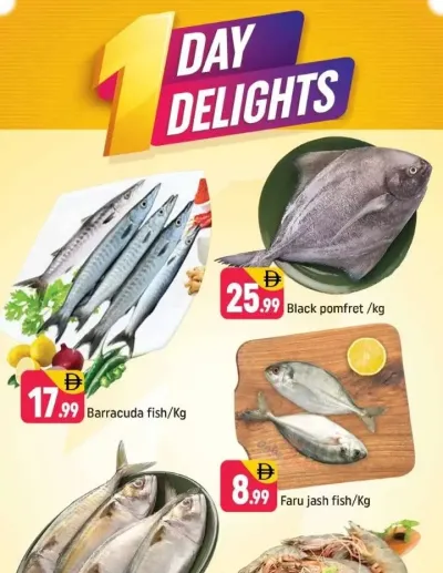One Day Delights - E07, International City, China Cluster ad catalog