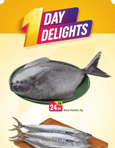 One Day Delights - Behind Abu Hail Centre ad catalog