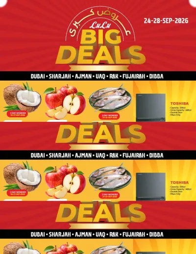 Big Deals - Dubai & Northern Emirates ad catalog