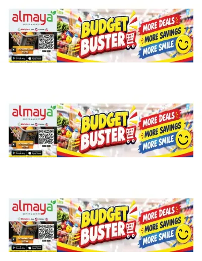 Budget Buster ad catalog