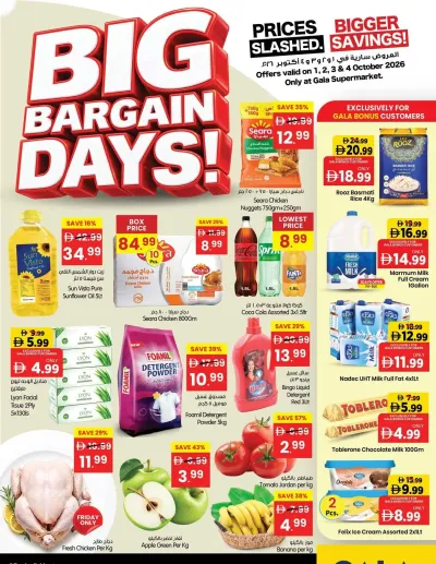 Big Bargain Days ad catalog