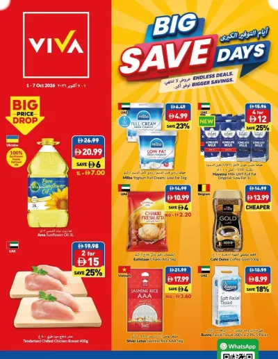 Big Save Days ad catalog