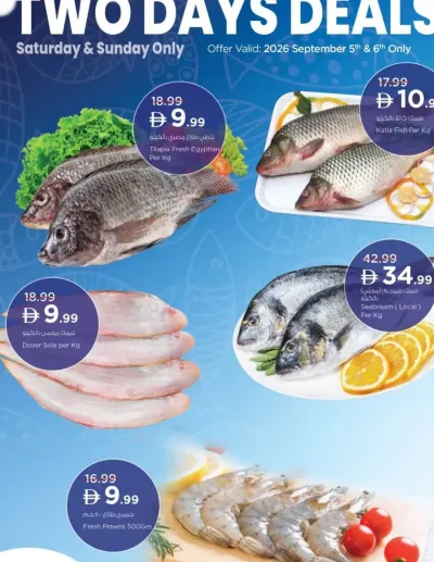Two Days Deal ad catalog