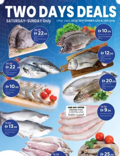 Two Day Deals ad catalog
