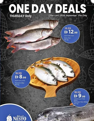 One Day Deals ad catalog