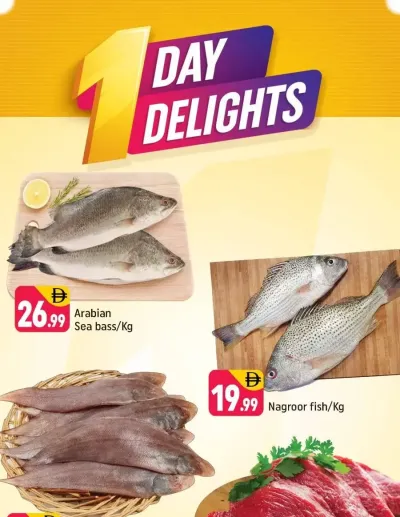 One Day Delights - R09, International City, France Cluster ad catalog