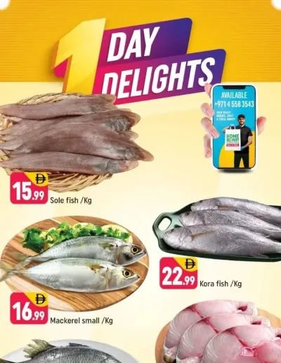 One Day Delights - E07, International City, China Cluster ad catalog