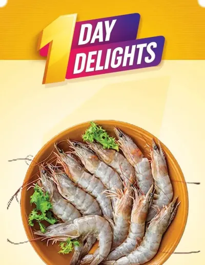 One Day Delights - Wadi Al Safa 5, Dubailand ad catalog