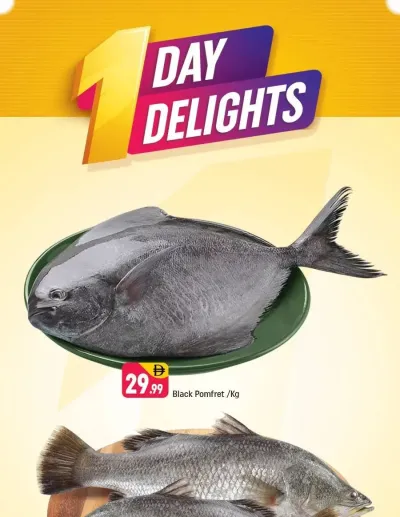 One Day Delights - Behind Abu Hail Centre ad catalog