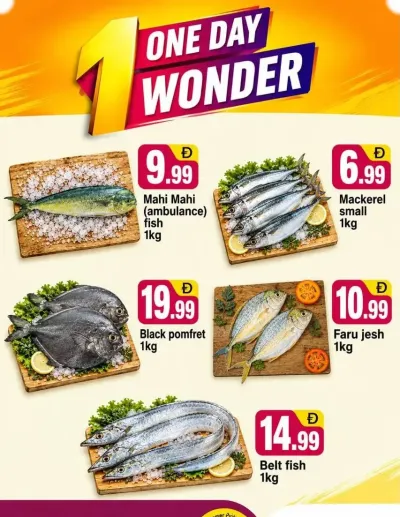 One Day Wonder - B02 China Cluster, Dubai ad catalog