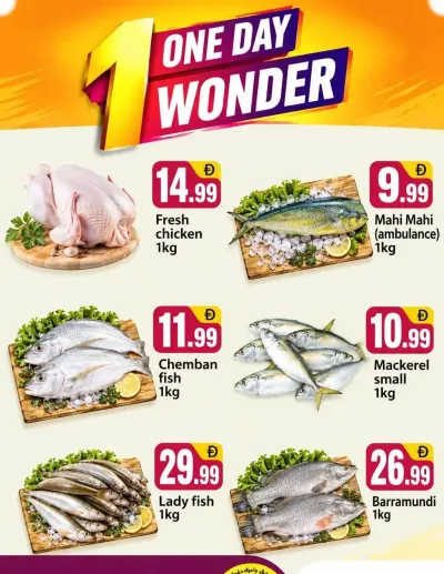 One Day Wonder - B02 China Cluster, Dubai ad catalog