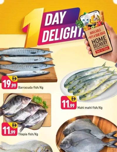 One Day Delights - E07, International City, China Cluster ad catalog