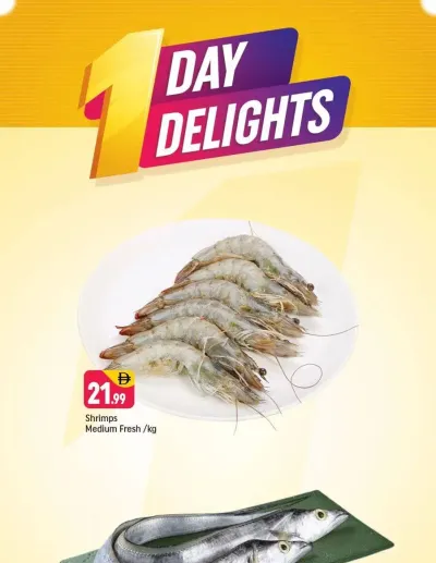 One Day Delights - Wadi Al Safa 5, Dubailand ad catalog