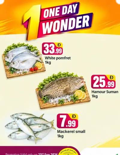 One Day Wonder - B02 China Cluster, Dubai ad catalog