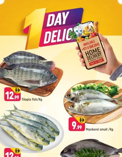 One Day Delights - E07, International City, China Cluster ad catalog